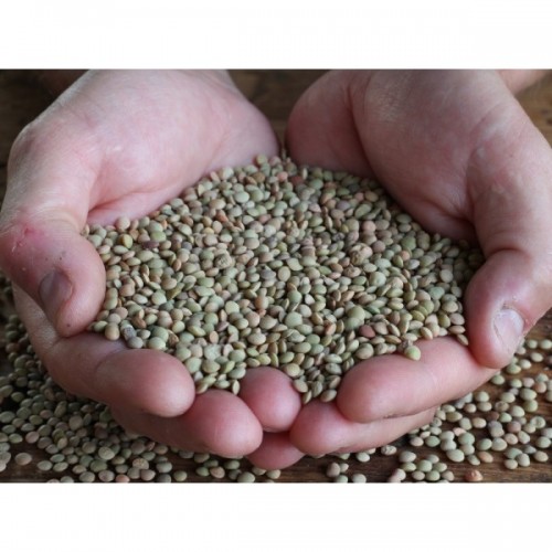 Lenticchie verdi nostrali 500g